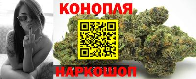 гидропоника Кунгур