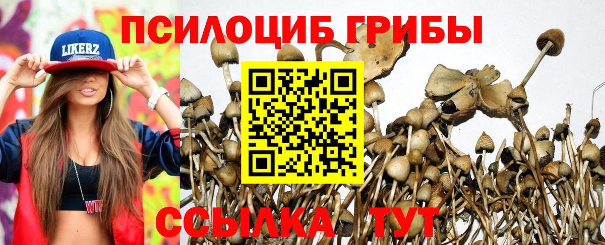 Псилоцибиновые грибы мухоморы  Псилоцибиновые грибы ЛСД  Томск  Вход с VPN 